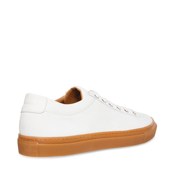 Adidași Barbati Steve Madden Bolo-g Albi Colorati | SM-479EC