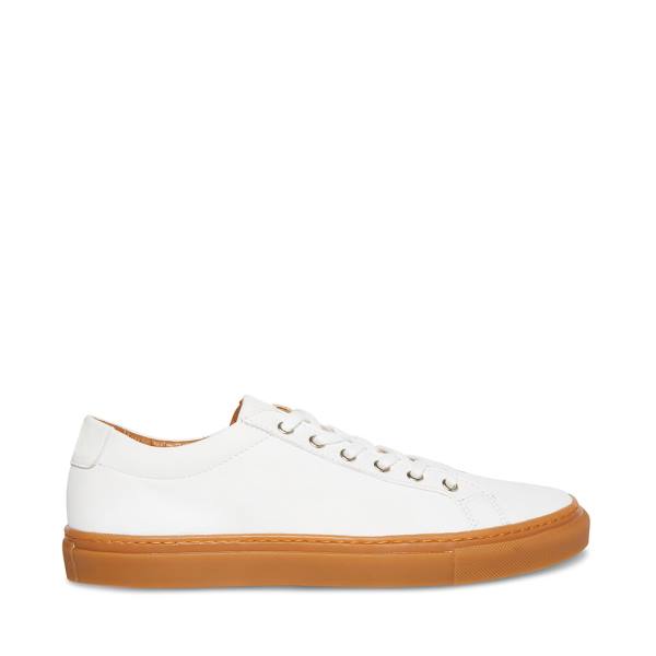 Adidași Barbati Steve Madden Bolo-g Albi Colorati | SM-479EC