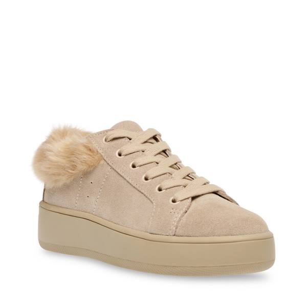 Adidași Dama Steve Madden Brenner Tan Maro Colorati | SM-243QD