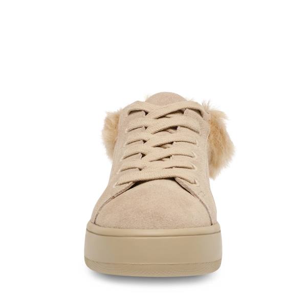 Adidași Dama Steve Madden Brenner Tan Maro Colorati | SM-243QD