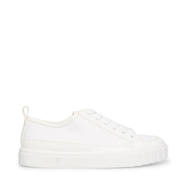 Adidași Dama Steve Madden Caleb Albi | SM-654AJ