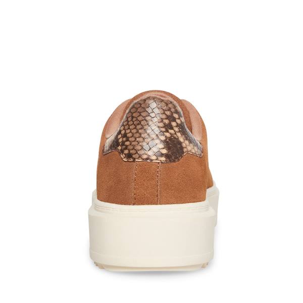 Adidași Dama Steve Madden Catcher Mocha Bej | SM-065ZM