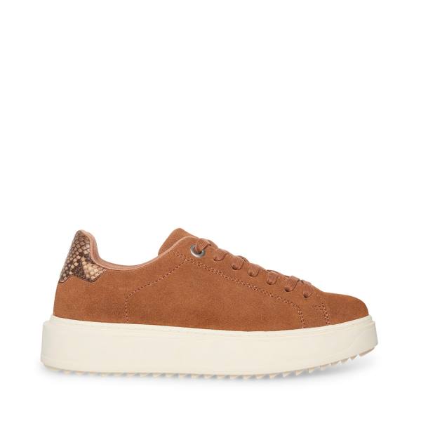 Adidași Dama Steve Madden Catcher Mocha Bej | SM-065ZM