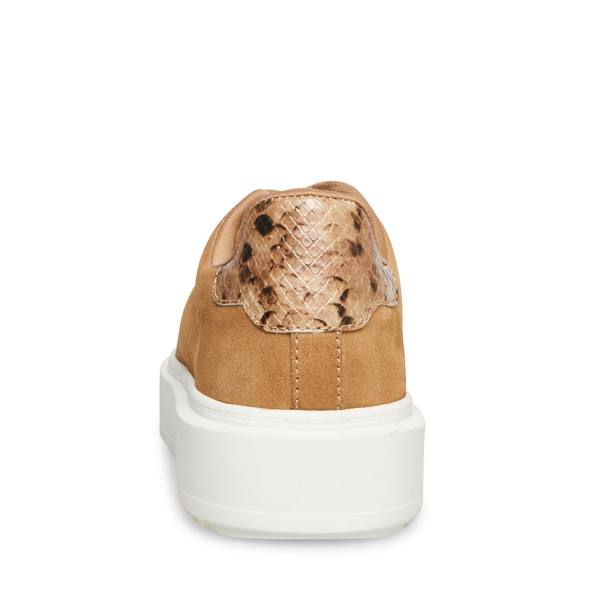 Adidași Dama Steve Madden Catcher Taupe Piele Intoarsa Gri Maro | SM-019JB