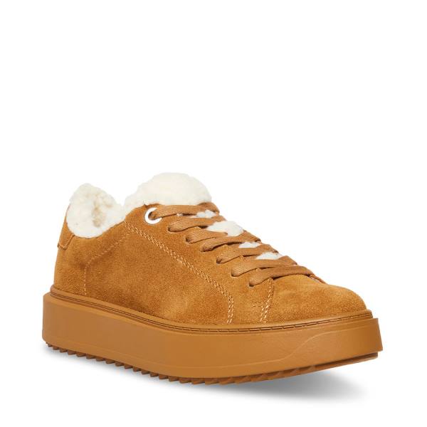 Adidași Dama Steve Madden Catcher-f Chestnut Piele Intoarsa Maro | SM-516CU