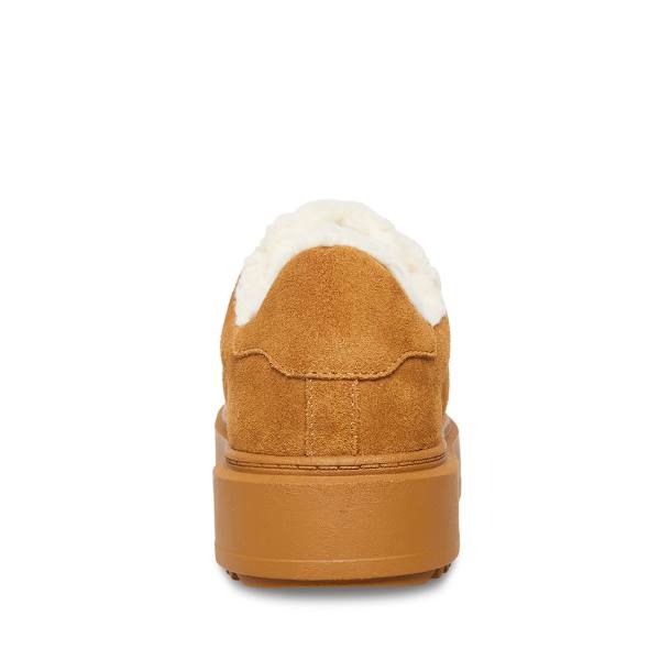 Adidași Dama Steve Madden Catcher-f Chestnut Piele Intoarsa Maro | SM-516CU