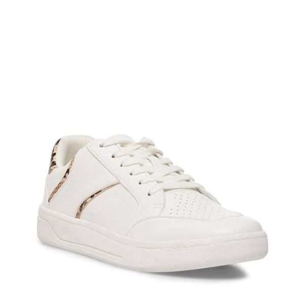 Adidași Dama Steve Madden Harmonize Tan Snake Maro Snakeskin | SM-815GH