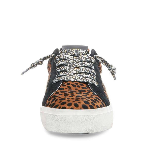 Adidași Dama Steve Madden Philosophy Leopard Leopard | SM-831EY