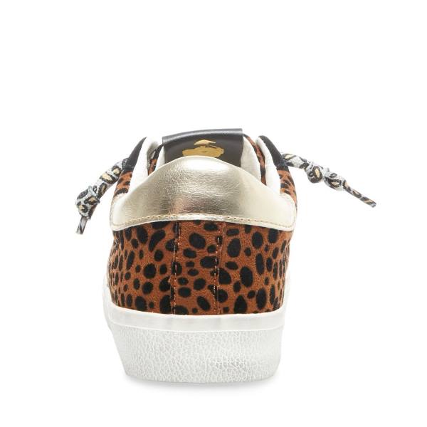 Adidași Dama Steve Madden Philosophy Leopard Leopard | SM-831EY