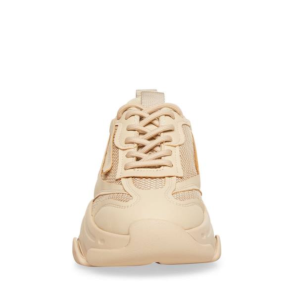 Adidași Dama Steve Madden Possession Tan Maro | SM-160XQ