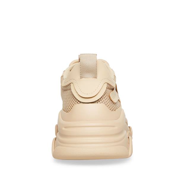 Adidași Dama Steve Madden Possession Tan Maro | SM-160XQ