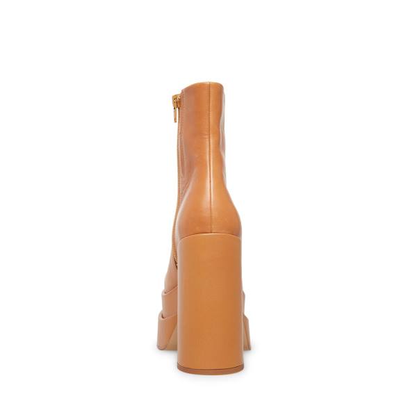 Bocanci Dama Steve Madden Cobra Tan Piele Maro | SM-058YH