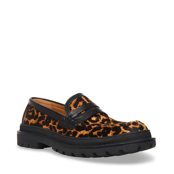 Loafers Barbati Steve Madden Charles Leopard Leopard | SM-139DQ