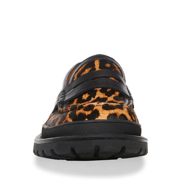 Loafers Barbati Steve Madden Charles Leopard Leopard | SM-139DQ