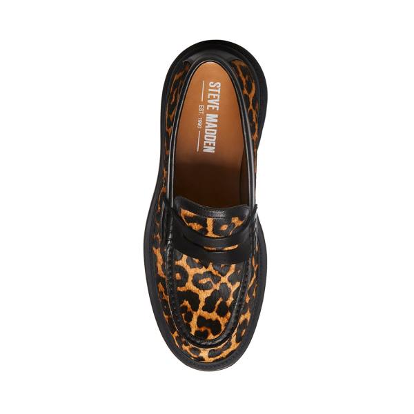 Loafers Barbati Steve Madden Charles Leopard Leopard | SM-139DQ