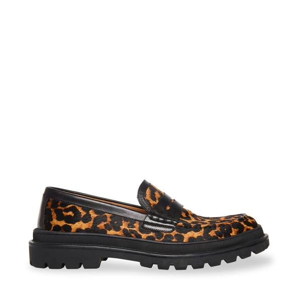 Loafers Barbati Steve Madden Charles Leopard Leopard | SM-139DQ