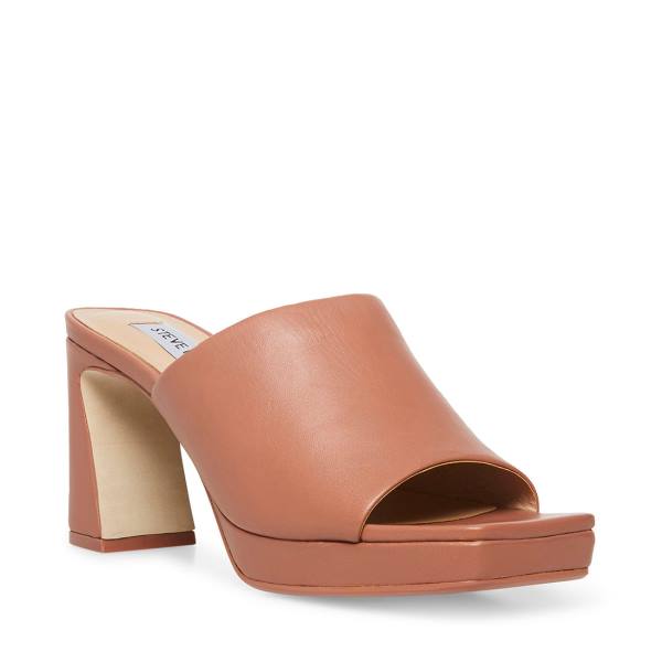 Pantofi Cu Toc Dama Steve Madden Dedicate Blush Piele Heel Roz | SM-918YN