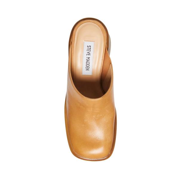 Pantofi Cu Toc Dama Steve Madden Flirtie Tan Piele Heel Maro | SM-129IJ