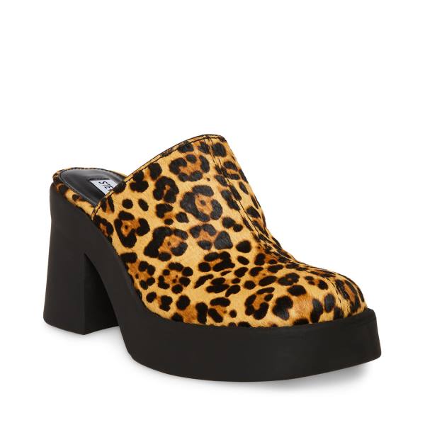 Pantofi Cu Toc Dama Steve Madden Kam Leopard Heel Leopard | SM-049OI