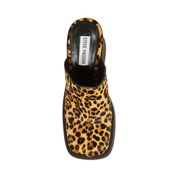 Pantofi Cu Toc Dama Steve Madden Kam Leopard Heel Leopard | SM-049OI