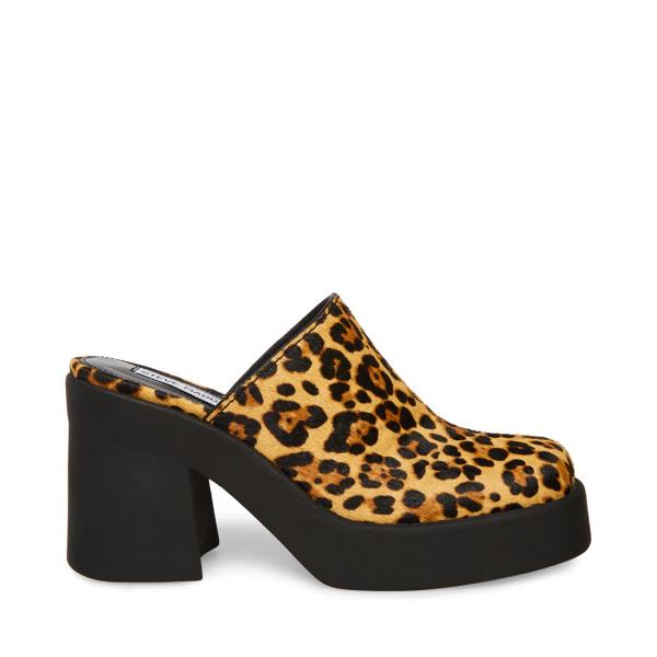 Pantofi Cu Toc Dama Steve Madden Kam Leopard Heel Leopard | SM-049OI