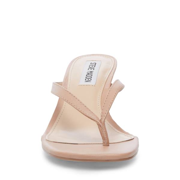 Pantofi Cu Toc Dama Steve Madden Melrose Tan Piele Heel Maro | SM-160ER