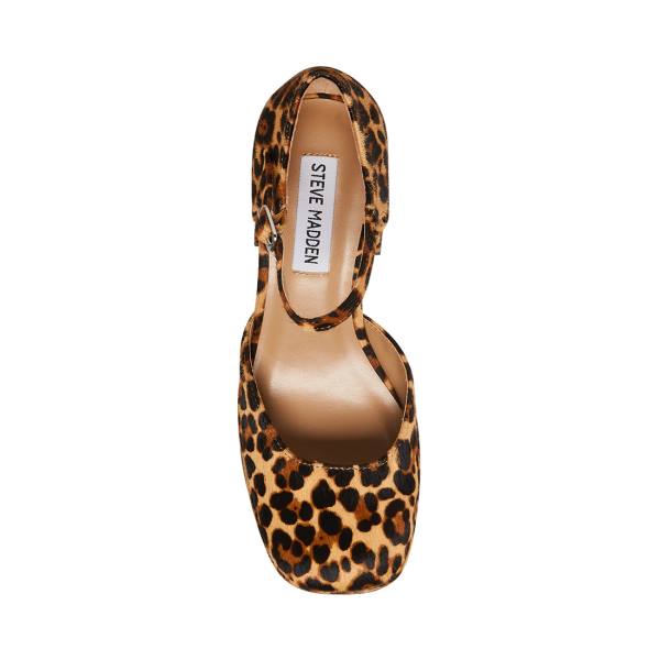 Pantofi Cu Toc Dama Steve Madden Mimi-l Leopard Heel Leopard | SM-962LP