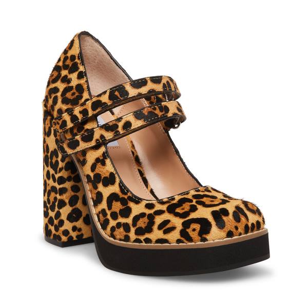 Pantofi Cu Toc Dama Steve Madden Twice-p Leopard Heel Leopard | SM-902FZ