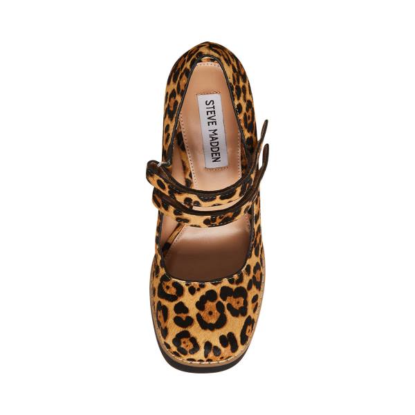 Pantofi Cu Toc Dama Steve Madden Twice-p Leopard Heel Leopard | SM-902FZ