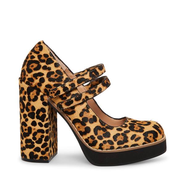 Pantofi Cu Toc Dama Steve Madden Twice-p Leopard Heel Leopard | SM-902FZ