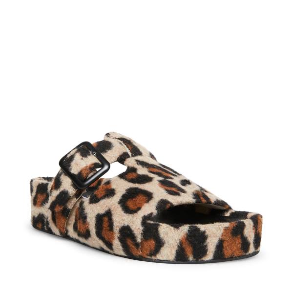 Papuci Dama Steve Madden Rizzle Leopard Leopard | SM-130KQ