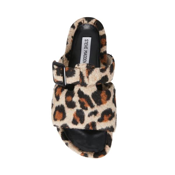 Papuci Dama Steve Madden Rizzle Leopard Leopard | SM-130KQ