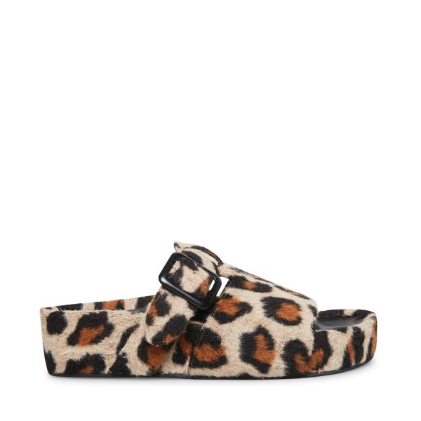 Papuci Dama Steve Madden Rizzle Leopard Leopard | SM-130KQ