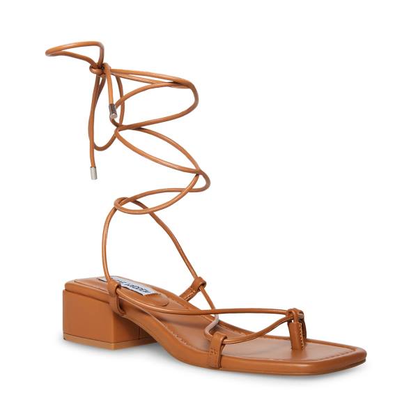 Sandale Dama Steve Madden Claremont Tan Maro Inchis | SM-516OP