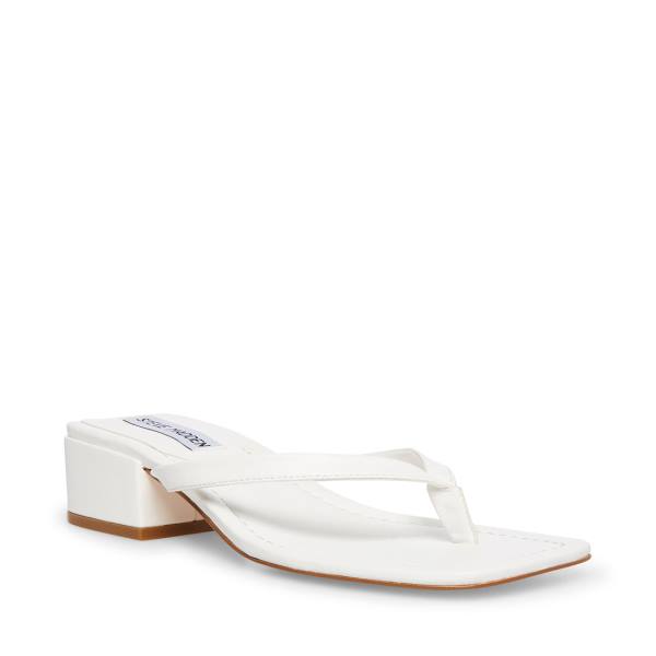 Sandale Dama Steve Madden Claudette Albi | SM-307NR