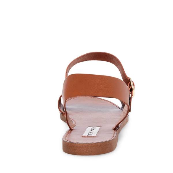 Sandale Dama Steve Madden Donddi Tan Piele Maro | SM-352OE