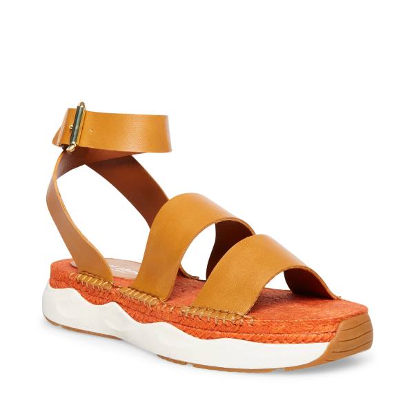 Sandale Dama Steve Madden Springs Tan Paris Maro | SM-796UM