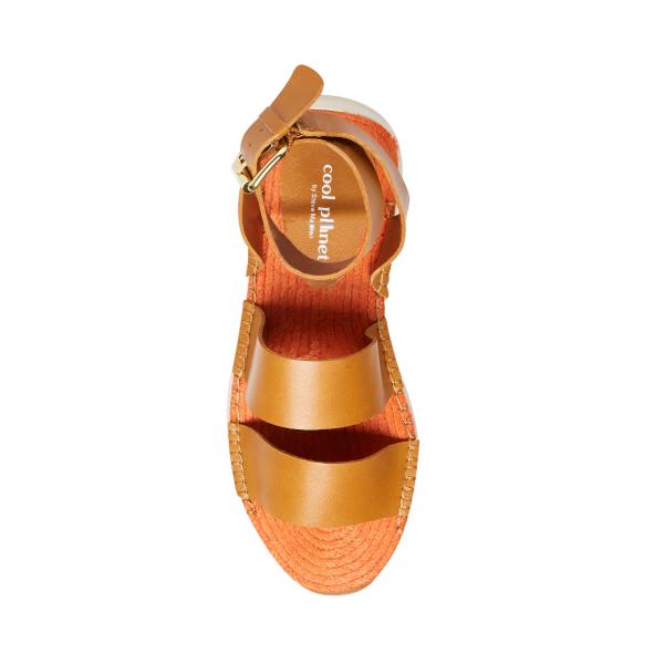 Sandale Dama Steve Madden Springs Tan Paris Maro | SM-796UM