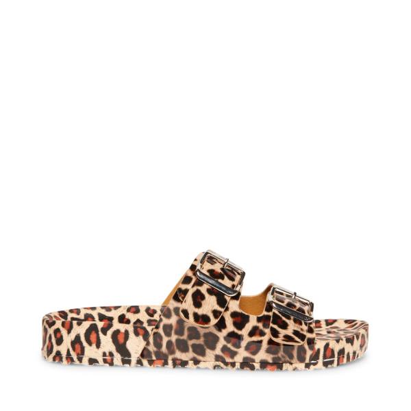 Sandale Dama Steve Madden Teddy-t Leopard Leopard | SM-861FV