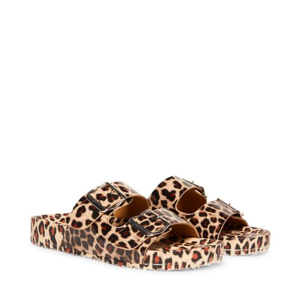 Sandale Dama Steve Madden Teddy-t Leopard Leopard | SM-861FV