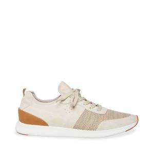 Adidași Barbati Steve Madden P-stevy Sand Maro | SM-760MB