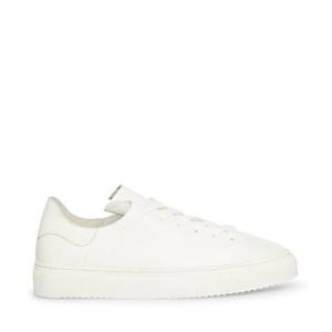 Adidași Dama Steve Madden Dorey Piele Albi | SM-047VH