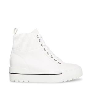 Adidași Dama Steve Madden Felix Albi | SM-483EU