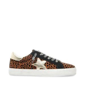 Adidași Dama Steve Madden Philosophy Leopard Leopard | SM-831EY