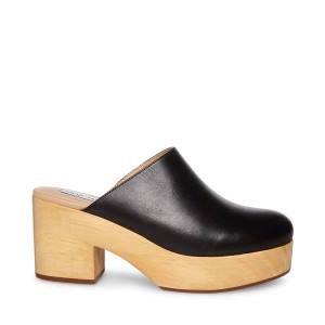 Pantofi Cu Toc Dama Steve Madden Bayridge Piele Heel Negrii | SM-124LH