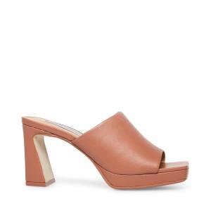 Pantofi Cu Toc Dama Steve Madden Dedicate Blush Piele Heel Roz | SM-918YN