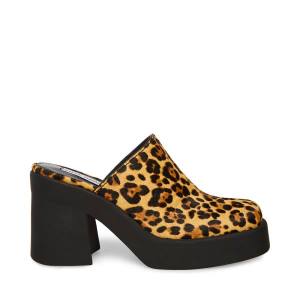 Pantofi Cu Toc Dama Steve Madden Kam Leopard Heel Leopard | SM-049OI