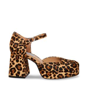 Pantofi Cu Toc Dama Steve Madden Mimi-l Leopard Heel Leopard | SM-962LP