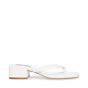 Sandale Dama Steve Madden Claudette Albi | SM-307NR