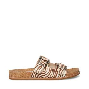 Sandale Dama Steve Madden Zeya Tiger | SM-625FD